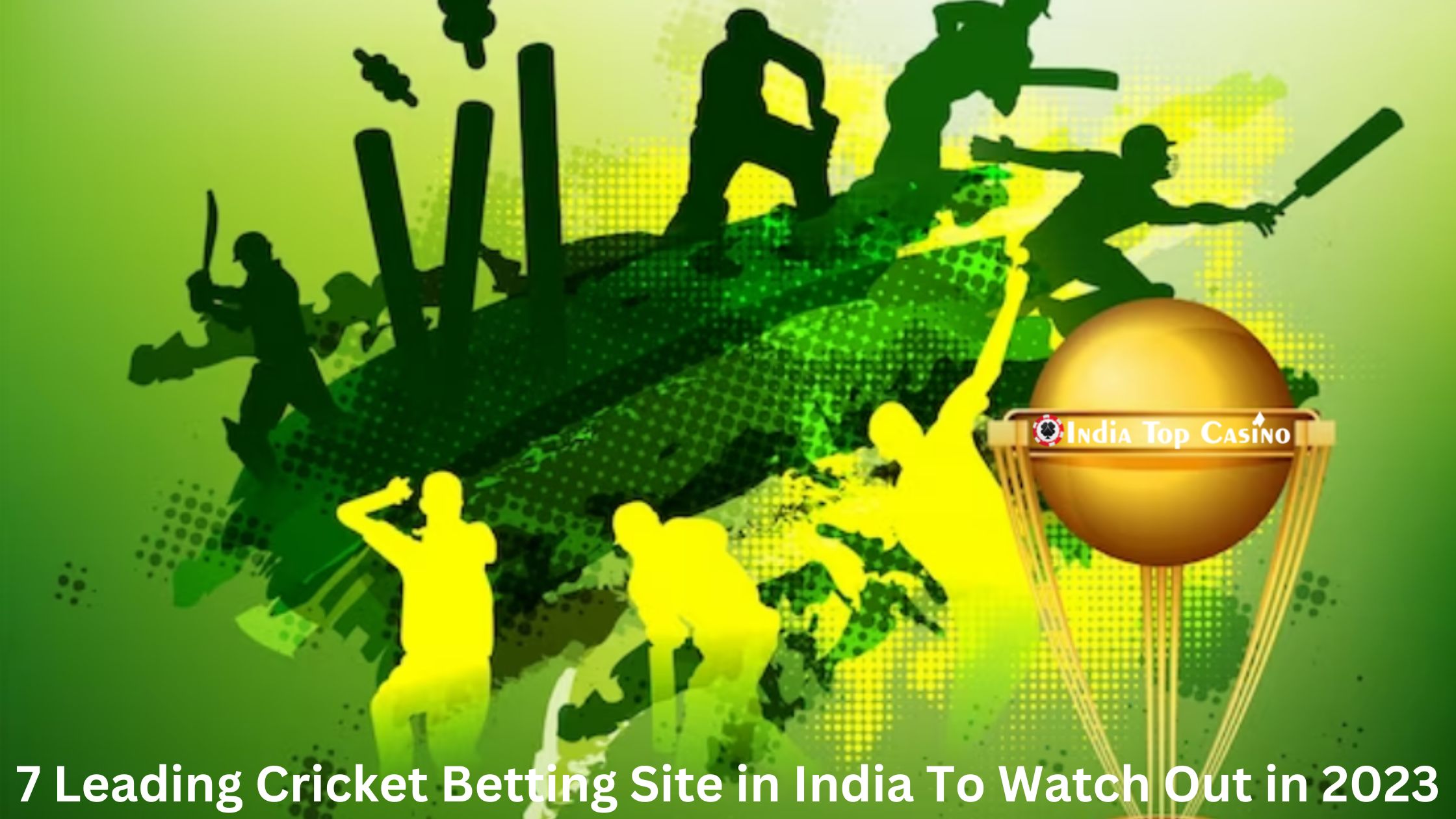 Best Cricket Betting Sites in India